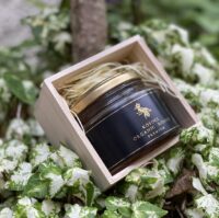 {{brizy_dc_image_alt entityId=